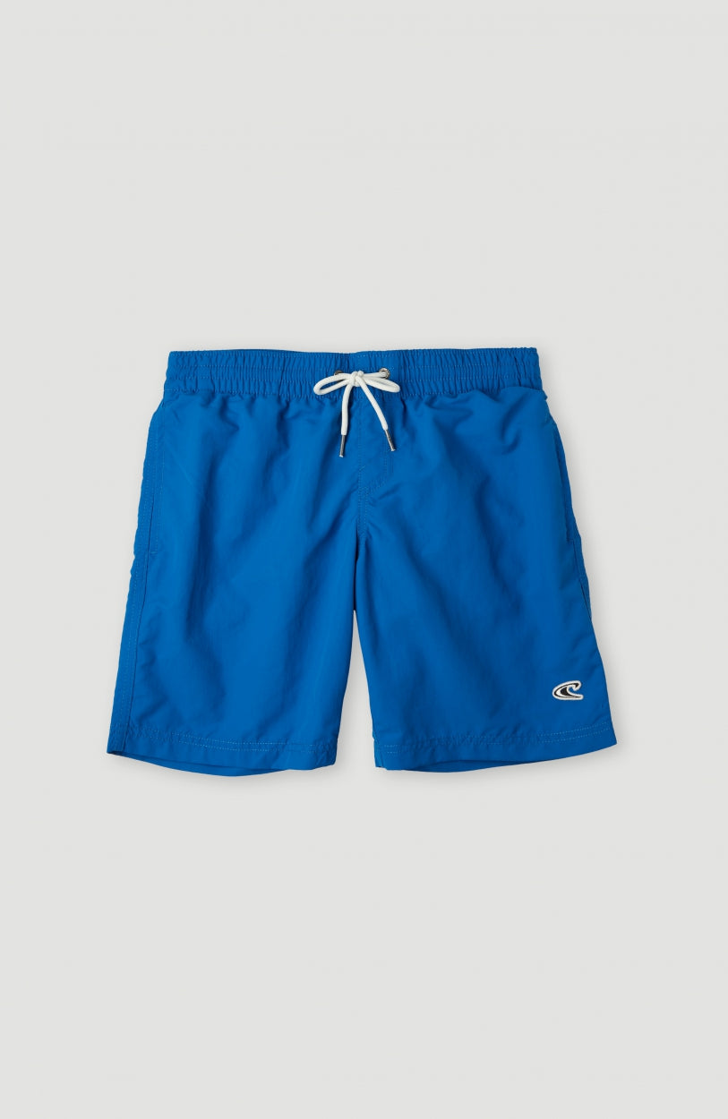 Vert 14'' Swim Shorts | Victoria Blue
