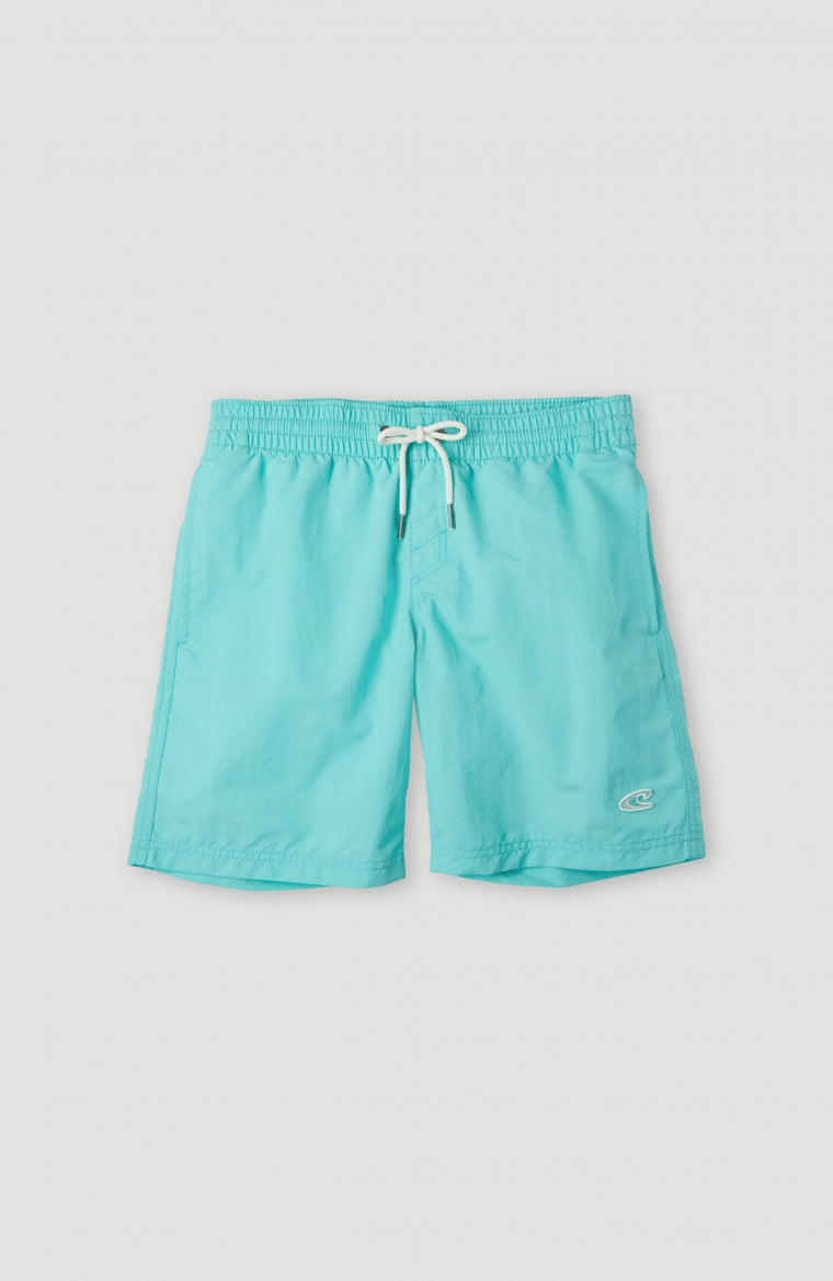 Vert 14'' Swim Shorts | Aqua Spalsh Vert 14'' Swim Shorts | Aqua Spalsh