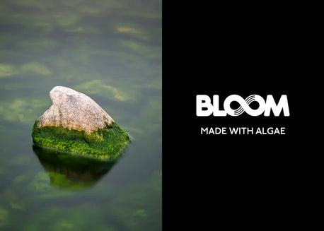 BLOOM™️