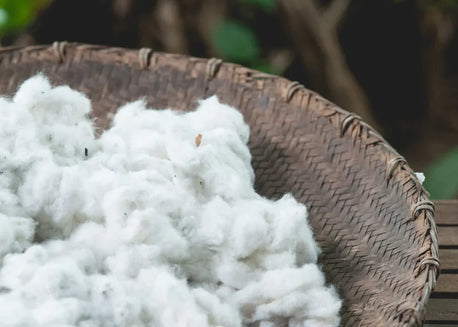 ORGANIC COTTON