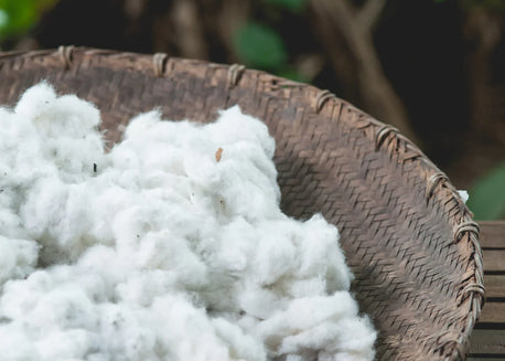 COTTON