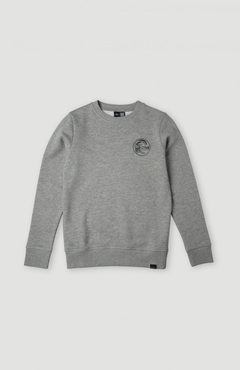 Circle Surfer Crew Sweatshirt | Silver Melee