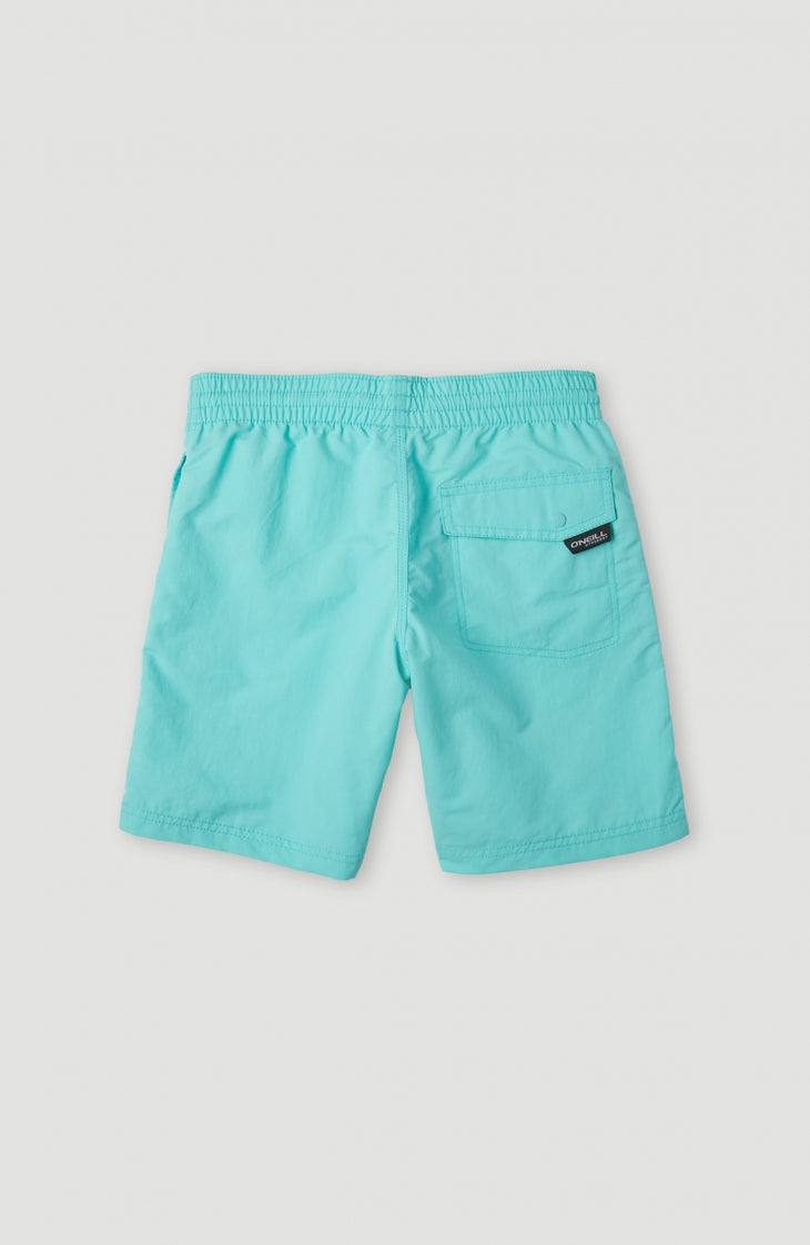 Vert Swim Shorts | Aqua Spalsh