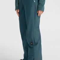 Aplite Regular Snow Pants | Alma Steel