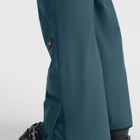 Aplite Regular Snow Pants | Alma Steel