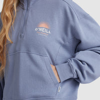 Bunji Half Zip Crew Sweatshirt | Tempest