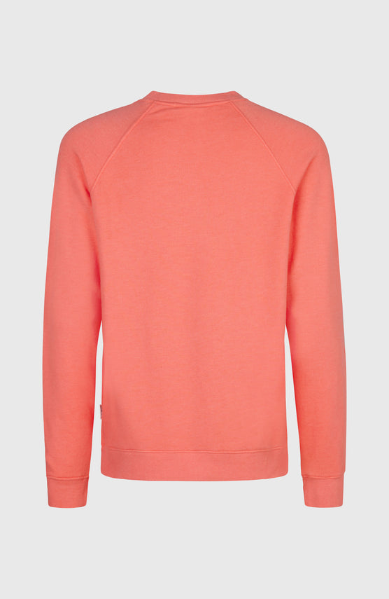 O'Neill Beach Vintage Crew | Rose Parade