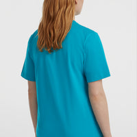 O'Neill Graphic T-Shirt | Island Breeze