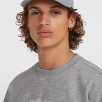 Future Surf Society Cap | Silver Melee