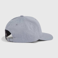 Future Surf Society Cap | Silver Melee