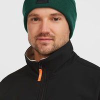 Snow Beanie | Emerald Envy