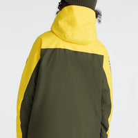 Diabase Snow Jacket | Forest Night Colour Block