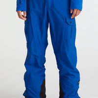 Cargo Snow Pants | Surf the web Blue