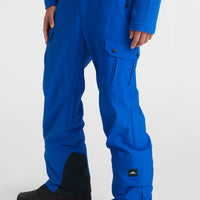 Cargo Snow Pants | Surf the web Blue