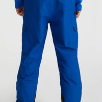 Cargo Snow Pants | Surf the web Blue