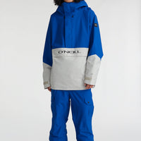 Cargo Snow Pants | Surf the web Blue