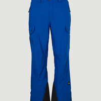 Cargo Snow Pants | Surf the web Blue