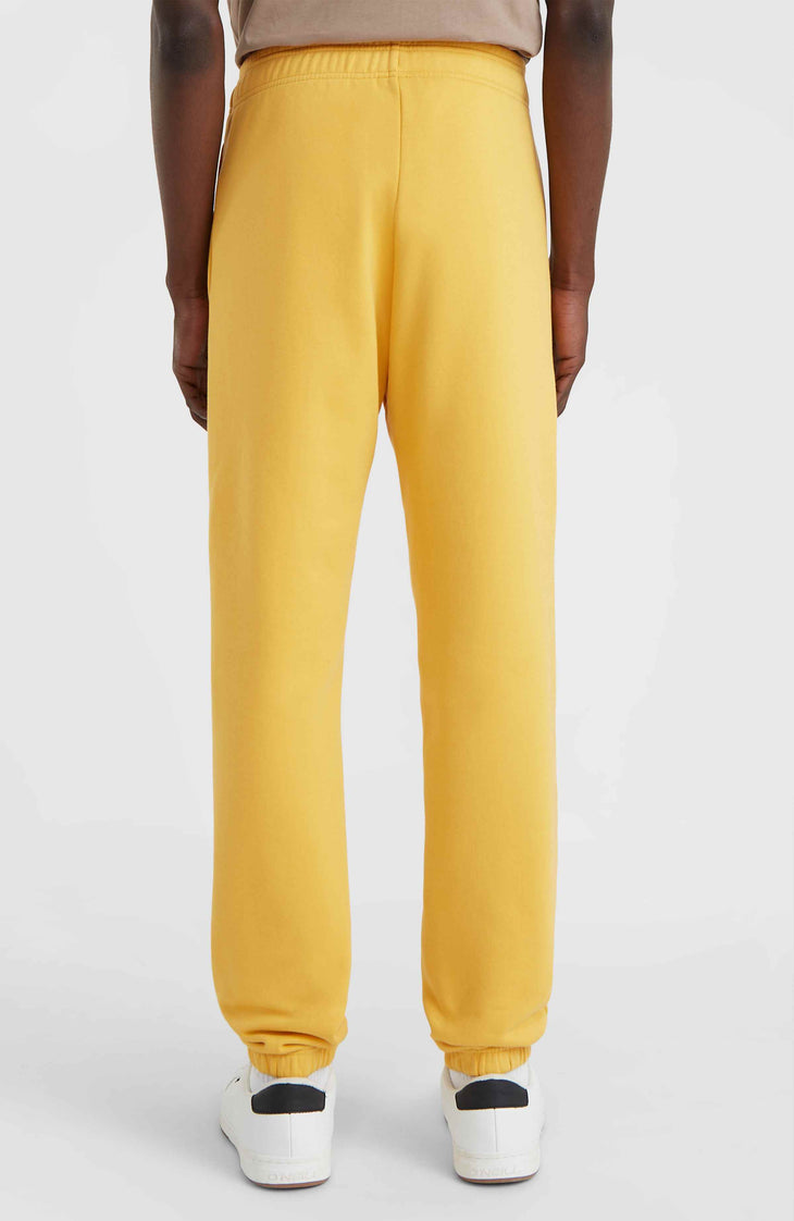 Future Surf Society Jogger Pants | Golden Haze