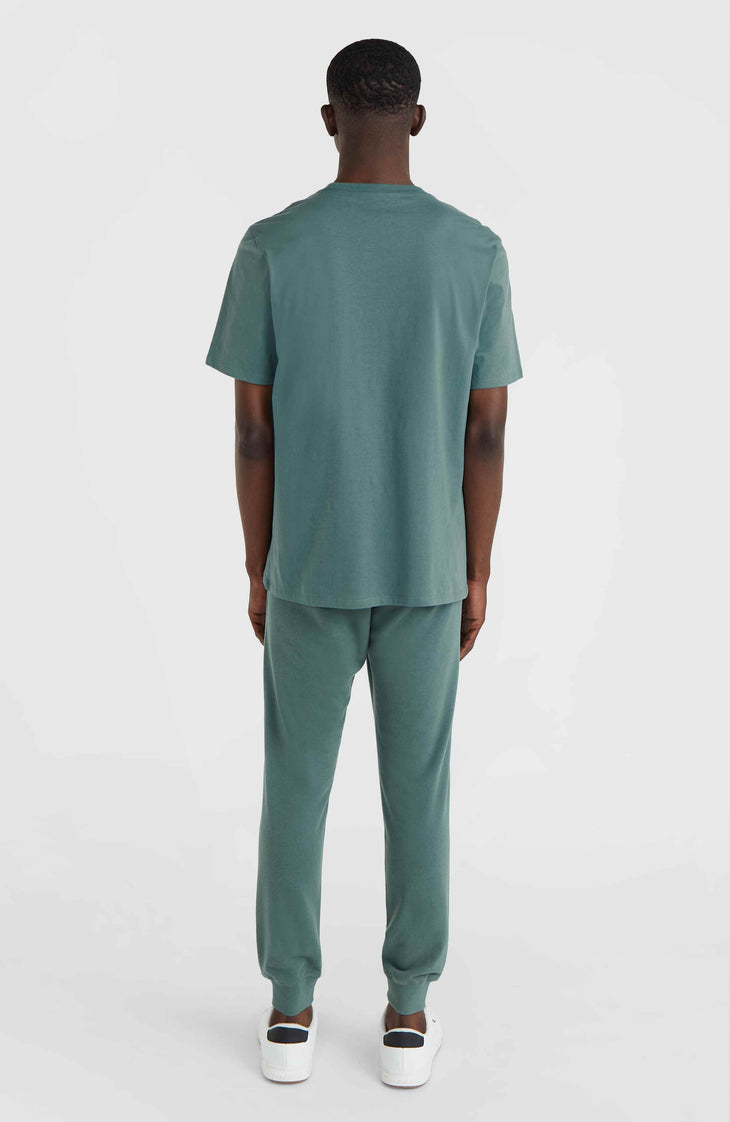 Small Logo Sweatpants | North Atlantic