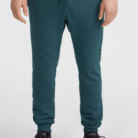 Logo Sweatpants | Alma Steel