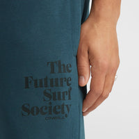 Future Surf Society Sweatpants | Alma Steel