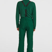 FWC'Cruz Suspender Snow Pants | Emerald Envy