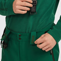 FWC'Cruz Suspender Snow Pants | Emerald Envy