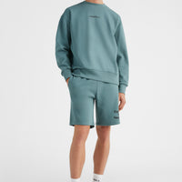 Future Surf Sweatshorts | North Atlantic