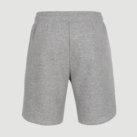 Future Surf Sweatshorts | Silver Melee
