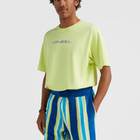 Brights Terry Short | Blue Towel Stripe