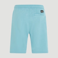 O'Neill Logo Sweatshorts | Ripling Shores