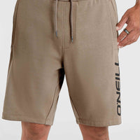 O'Neill Logo Sweatshorts | Pumpkin Smoke