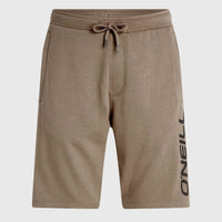 O'Neill Logo Sweatshorts | Pumpkin Smoke