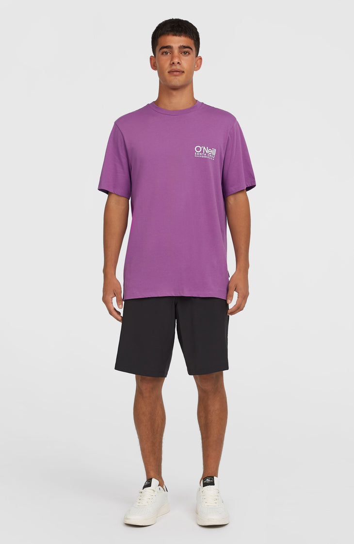 Hybrid Chino 19" Shorts | Black Out