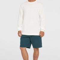 Essentials Chino Shorts | Alma Steel