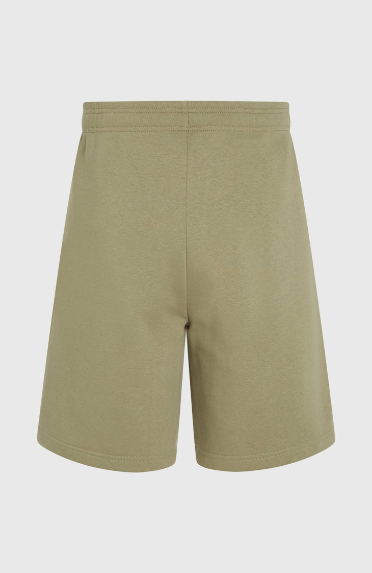 Future Surf Society Shorts | Avery Fern