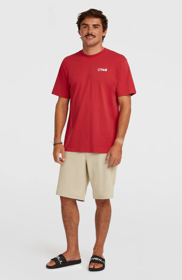 Hybrid 19" Melange Shorts | Cocoa Sand