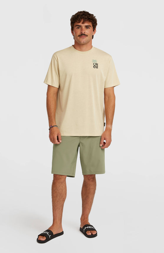 Hybrid 19" Shorts | Avery Fern