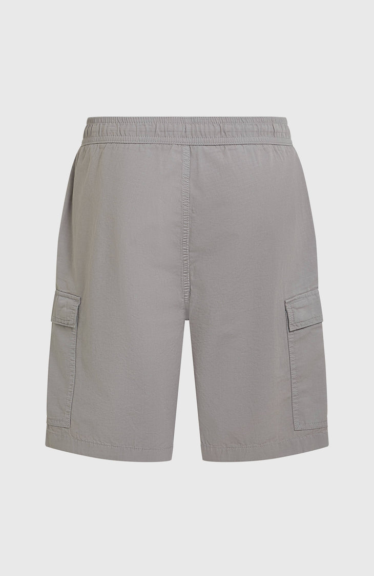 O’Neill Essentials Ripstop Cargo Shorts | Brushed Aluminium