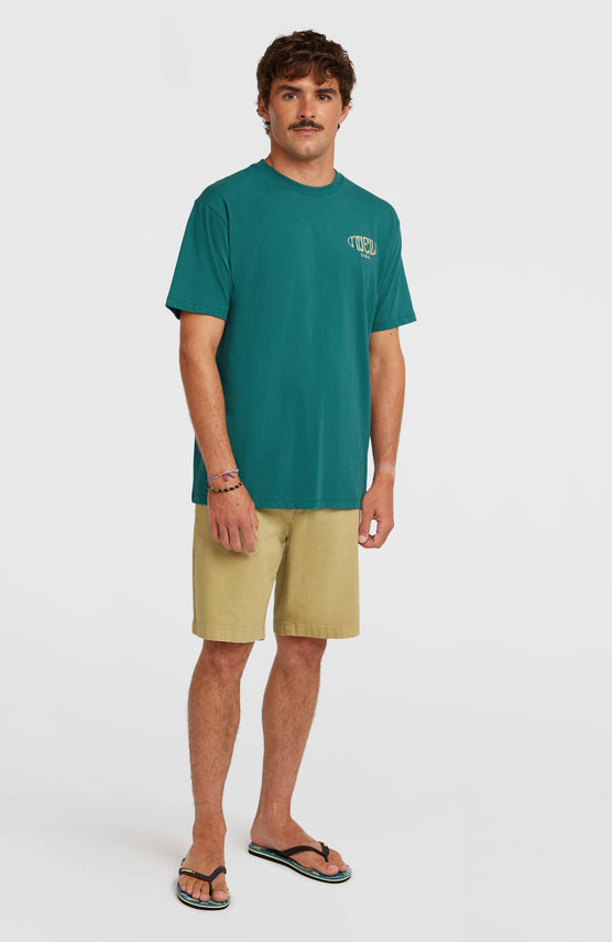 Essentials Chino Shorts | Oak Ridge