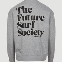 Future Surf Crew Sweatshirt | Silver Melee