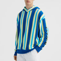 Brights Terry Hoodie | Blue Towel Stripe