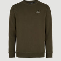 O'Neill Small Logo Sweatshirt | Forest Night