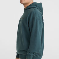 Surf Heroes Hoodie | Alma Steel