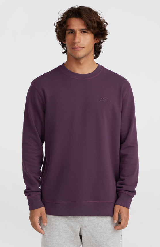 Small Logo Crew Sweatshirt | Aubergine