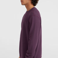 Small Logo Crew Sweatshirt | Aubergine