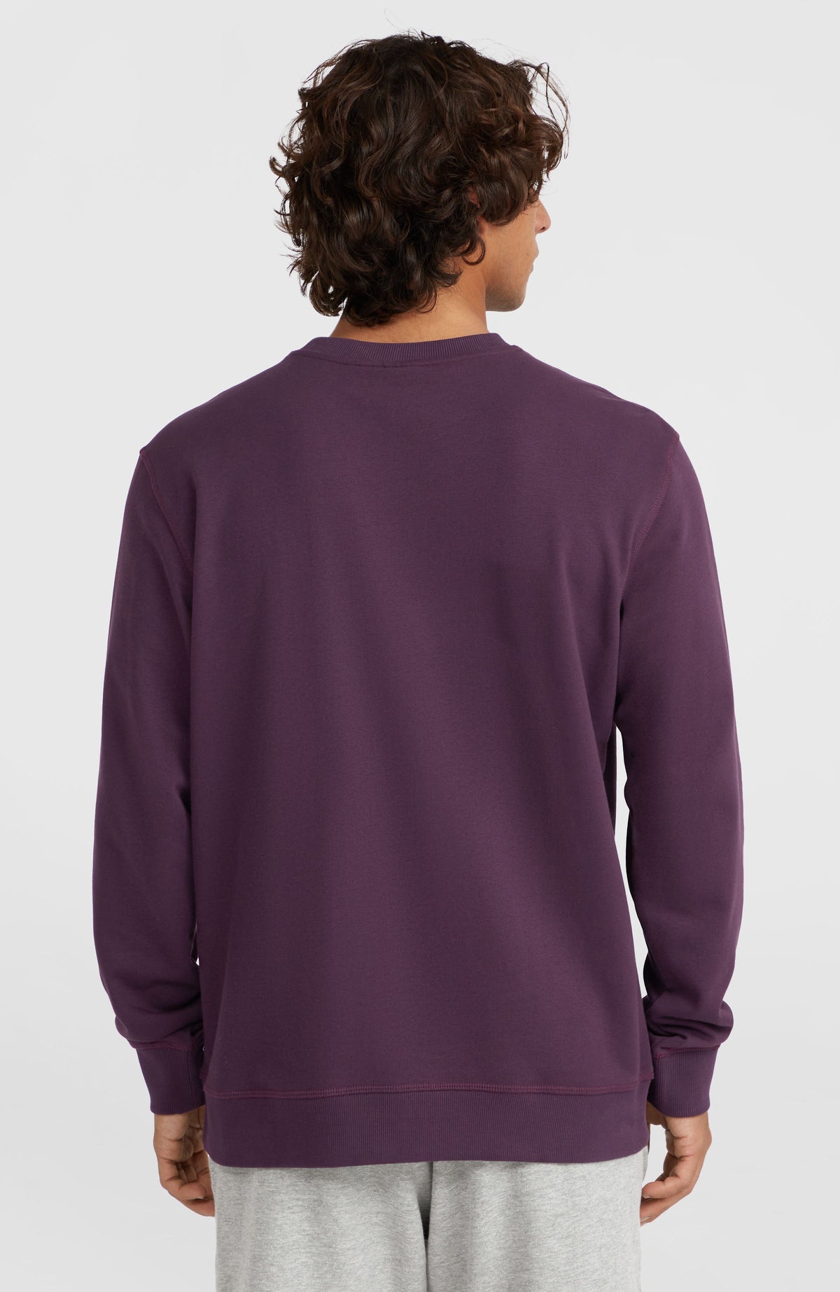 Small Logo Crew Sweatshirt | Aubergine