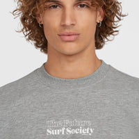 Future Surf Crew Sweatshirt | Silver Melee