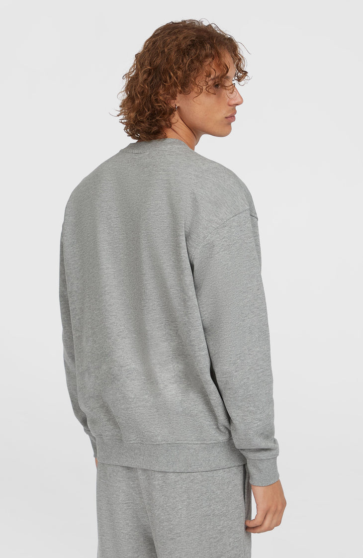 Future Surf Crew Sweatshirt | Silver Melee