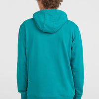 Graphic Hoodie | Island Breeze